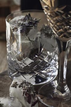 Frederik Bagger Crispy Lowball Clear 2stk (433-10312)