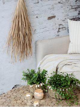 Chic Antique Fleur Veggdekor Natur H75 (529-39093600)