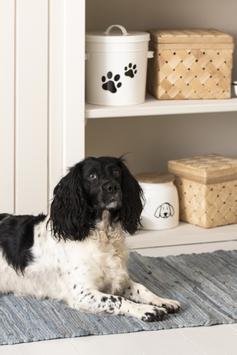 Ib Laursen Oppbevaringskrukke Hund Hvit 2.2L (171-04897-11)