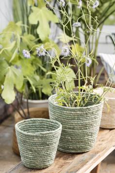 Ib Laursen Potteskjuler Kurv Grønn Ø17xH15 (171-37000-22)