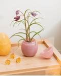 Hadeland Glassverk Glassegg med lokk Opal-Rosa H15 (560-1234295)