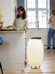 Kooduu Synergy 65 Høyttaler Vinkjøler Lampe (KO05-0106LS014-00)