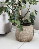 House Doctor Plant Kurvsett Natur 2stk (151-212470103)