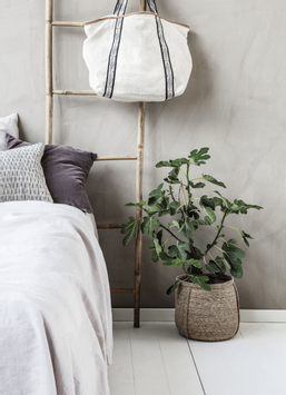 House Doctor Plant Kurvsett Natur 2stk (151-212470103)