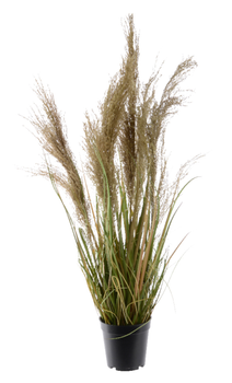 Kaemingk Kunstig Plante Gress H85 (487-800979)