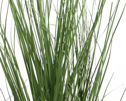 Kaemingk Kunstig Plante Gress H100 (487-808525)
