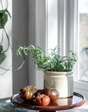 UND Legacy Krukke Marsipan (636-15518)