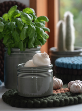 UND Legacy Krukke Pære (636-15511)