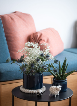 UND Legacy Krukke Kobolt (636-15741)