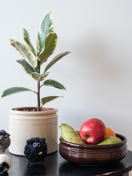 UND Legacy Krukke Marsipan (636-15518)