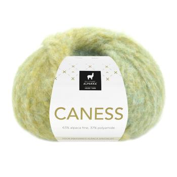 Du Store Alpakka Garn Caness Caribbean-Kiwi 2504, 100g