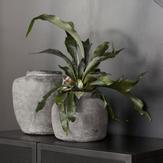 House Doctor Krukke Rustik Betong Ø19x18 (151-fg0403)