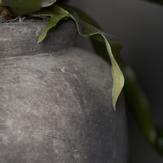 House Doctor Krukke Rustik Betong Ø19x18 (151-fg0403)