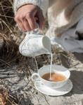 Wik & Walsøe Slåpeblom Fløtemugge Grå 25cl (500-25219)