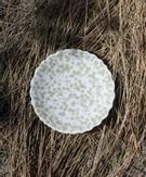 Wik & Walsøe Slåpeblom Tallerken Grønn Ø21 (500-85218)