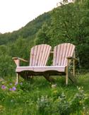 Canadian Outdoor Classic Adirondack Toseter (340-2537)