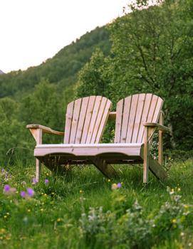 Canadian Outdoor Classic Adirondack Toseter