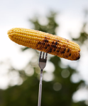 Sagaform Grillspyd Teleskopgaffel (575-5018399)