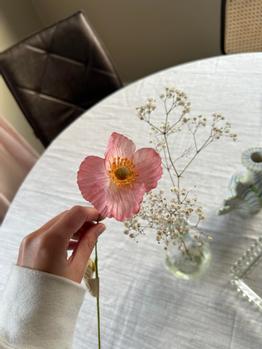 Trend Design Kunstig Blomst Valmue Rosa H50 (298-642432)