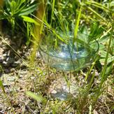 Magnor Glassverk Happy Champagneglass Grønn, 28cl (404-321452)