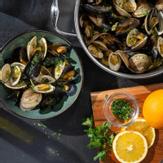 HexClad Gryte med stållokk "Dutch Oven" 4.7L,  Non-Stick (573-CWDOLD05)