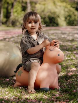 Find That Hippo Hoppedyr Luna Enhjørning