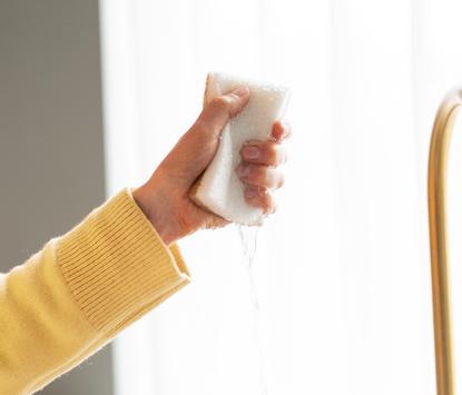 På Stell  Universal Svamp 2pk (716-3406740000)