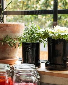 Lexington Terracotta Potte Svart (588-12438007-9000)