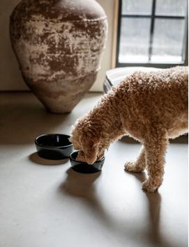 Lexington Terracotta Skål Svart  (588-12438011-9000-M)