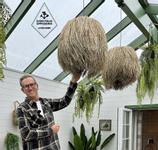 Lene Bjerre Rosea Pendel Sjøgress Ø55 (746-A00024975)