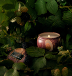 Voluspa Foraged-Wildberry Duftlys Mini 25t (703-V72139)