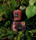 Voluspa Foraged-Wildberry Duftlys Classic 60t (703-V73439)