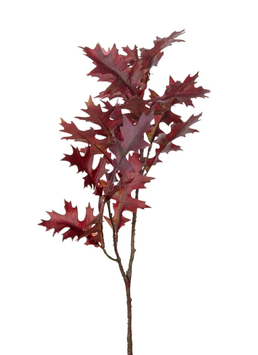 Mr Plant Kunstig Kvist Eik H50 (260-9340-85)