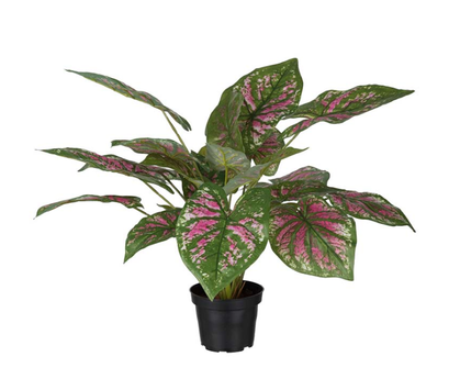 Mr Plant Kunstig Plante Caladium H40