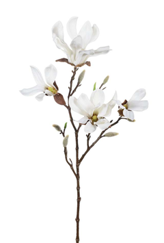 Mr Plant Kunstig Gren Magnolia H50cm