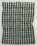 GANT Sengesett Flanell Forest-Green (589-sengesett-forest-green)