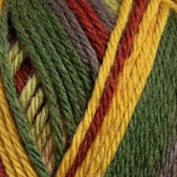 Järbo GARN Raggi Secret-Garden 15231, 100g (634-15231)