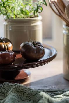 UND Legacy Stettfat Kaffe Ø29 (636-15757)