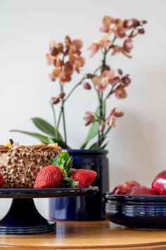 UND Legacy Stettfat Kobolt D29 (636-15745)