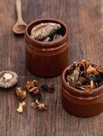 UND Legacy Krukke Mini Terracotta_2pk