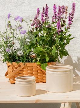 UND Legacy Krukke Marsipan (636-15518)