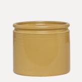 UND Legacy Krukke Sennep  (636-15754)