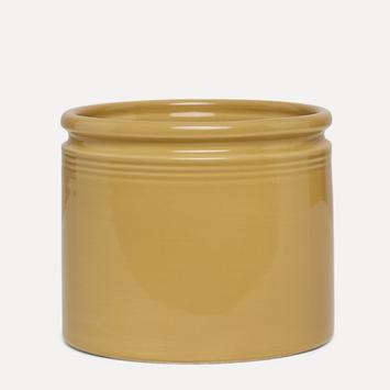 UND Legacy Krukke Sennep  (636-15754)