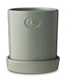 Lexington Potte Terrakotta Eucalytus (588-12518006-8402)