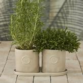 Riviera Maison Portofino Blomsterpotter Herbs flax (443-574490)