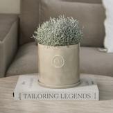 Riviera Maison Portofino Blomsterkrukke Flax Ø17,5xH17 (443-577970)