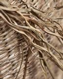 House Doctor Isa Oppbevaringskurv Sjøgress Ø23 (151-266552184)