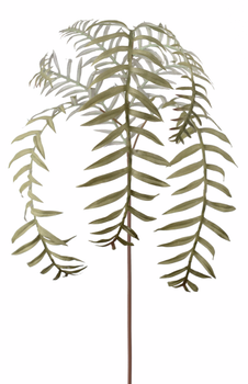 Mr Plant Kunstig Ormbunksblad H50 (260-4610-90)