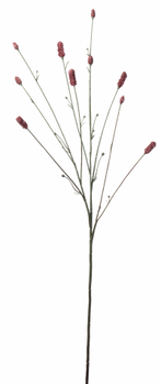 Mr Plant Kunstig Pimpinell Burgunder H80 (260-4635-85)