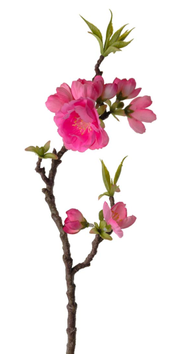 Mr Plant Kunstig Epleblomst Mørk-Rosa H40